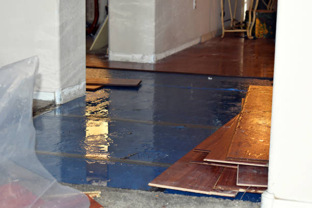 Professional Flood Damage Repair technician working in Milton, MA